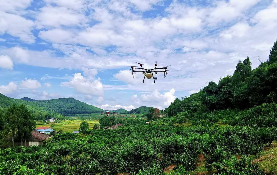 改裝無(wú)人機(jī)解決果樹農(nóng)藥低效問(wèn)題 四川果農(nóng)轉(zhuǎn)型成“飛手”(圖1) 改裝無(wú)人機(jī)解決果樹農(nóng)藥低效問(wèn)題 四川果農(nóng)轉(zhuǎn)型成“飛手”(圖1)