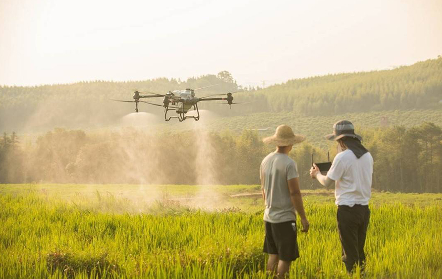 改裝無(wú)人機(jī)解決果樹農(nóng)藥低效問(wèn)題 四川果農(nóng)轉(zhuǎn)型成“飛手”(圖2) 改裝無(wú)人機(jī)解決果樹農(nóng)藥低效問(wèn)題 四川果農(nóng)轉(zhuǎn)型成“飛手”(圖2)