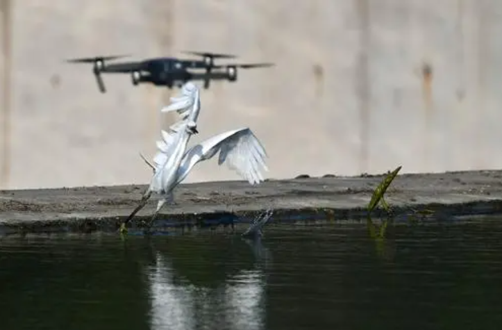 重點關注 2022年即將實施的無人機新規(圖5)