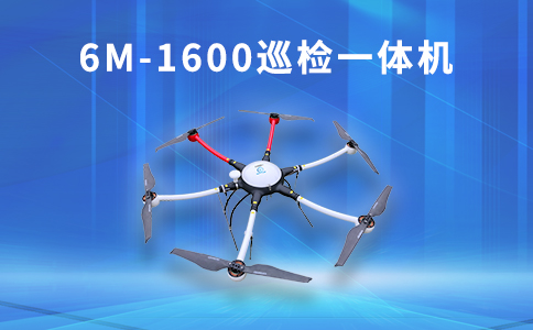 如何通過無人機監測濕地公園的水質變化？(圖1)